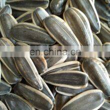 Wholesale Cha Cha Roasted Sunflower Seeds Snacks Peeled Best Quality Inner Mongolian Sunflower Kernel Crop 2020 From CN thumbnail-5