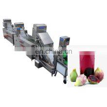 Automatic Prickly Pear Juice Process Machine / Prickly Pear Juicing Equipment