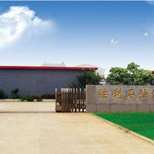 Shengli Oilfield Shengli Petroleum Instrument Plant company overview - view 1 thumbnail