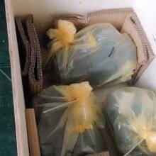 Rexroth Piston Pump A10VSO A4VSO A4VG A6VM Rexroth Imported Plunger Pump With Original Packaging A10VSO Series Model: A10VSO18DR/31R-PPA12N00 thumbnail-1