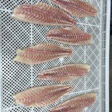 Red Drum Fillet thumbnail-1