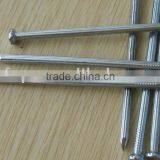 Bright Galvanized Concrete Nails Factory