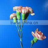 Most Popular Promotional Flowers Bouquet Carnation thumbnail-1