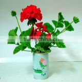 Tin rose flower,DIY Tin flower, cans flower,geranium flowers