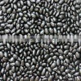 Black Kidney Beans thumbnail-1