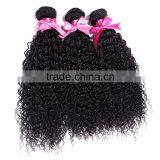 Brazilian Human Virgin Kinky Hairpiece Manufacturer Curly Wave Wholesale thumbnail-3