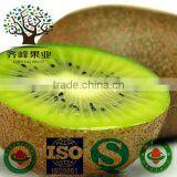 Fresh Fruit thumbnail-1