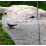 Grassland Fences thumbnail-4