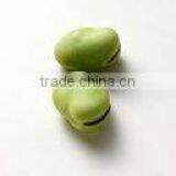 Faba Beans thumbnail-1