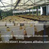 Rubber Smoked Sheet Natural Rubber thumbnail-4