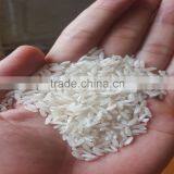 VIETNAM 5% BROKEN LONG GRAIN RICE WITH AAA GRADE QUALITY thumbnail-1