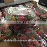 SWEET STRAWBERRY FROM EGYPT thumbnail-3