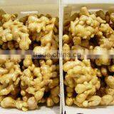 INDIAN YOUNG FRESH GINGER thumbnail-1