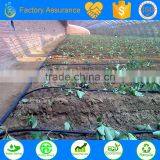 Micro Irrigation System Hot House Irrigation thumbnail-2