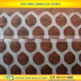 Plastic Breeding Net /plastic Plain Netting /plastic Aquaculture Mesh thumbnail-2