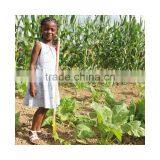 Large Spade Yellow Outdoor Toys Garden Tool Toys thumbnail-3