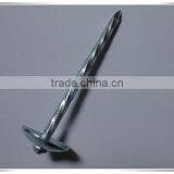 2 Inch Umbrella Head Roofing Nail Twisted Shank Roofing Nail With Factory Price thumbnail-4