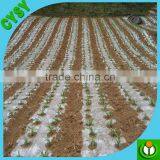 Professional Manufacturer uv Treated Perforated Black Plastic Agricultural Mulch Film thumbnail-5
