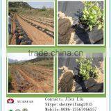 30gsm 50gsm 80gsm 100gsm Black Small Roll Non Woven Used for Gardening Weed Mat thumbnail-4