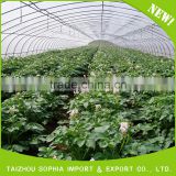 Super quality durable using various hdpe film greenhouse