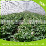 Super quality durable using various hdpe film greenhouse