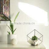 Indoor Gardening Geometric Glass Terrarium Container Succulent Planter thumbnail-5