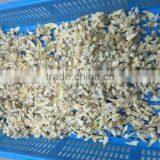 Frozen Suff Clam Meat thumbnail-3