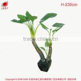 115 to 230cm Artificial Trees Dishlia Pots Plant Artificia House Plants Bonsai Tree thumbnail-6