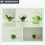 Artificial Succulent Home Decorative Tropical Plants Small Manufacturing Plant thumbnail-3