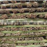 Bamboo Poles/bamboo Canes From Chinese Factory thumbnail-3