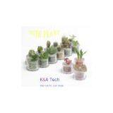 South Korea Mobile Phone Accessories thumbnail-1