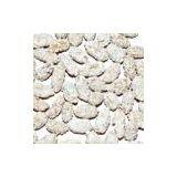 Milk Flavour Coated Peanut thumbnail-1