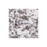 Sell Granite (G439) thumbnail-1