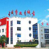 Baoding Gucheng Incense Group Co Ltd company overview - view 2 thumbnail