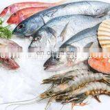 Frozen Beef Cold Storage Cold Chain Cold Warehouse thumbnail-5