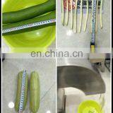 Fruit And Vegetable Processing Machine Cutting Strips Fries Cutter Equipment Multi-function Dicephalous Vegetable Cutter thumbnail-7