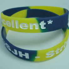 Color Segmented Silicone WristBand