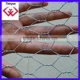 Galvanized Hexagonal Wire Mesh (Chicken Mesh) thumbnail-2