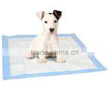 Pee Pad Training Older Dogs Pee Pad Training Puppy Pee Pad Tray
