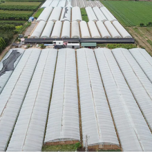 Shijiazhuang Lianshou Seed Sales Co., Ltd. company overview - view 1 thumbnail