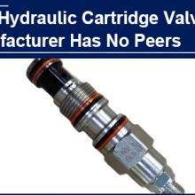 AAK Hydraulic Cartridge Valve has no peers, and American customer who has cooperated for 11 years come to learn from it