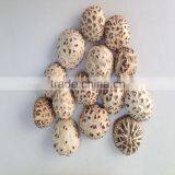 Whole Shiitake Mushroom Dried 1KG