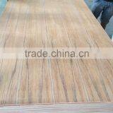 Fancy Plywood thumbnail-3