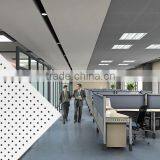 Sound-Absorbing Ceiling Panel for Office