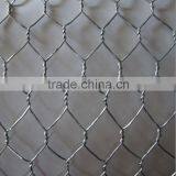 Directly Factory of Hexagonal Wire Netting