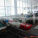 Automatic Continuous Vacuum Packing Machine Belt Type thumbnail-5