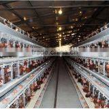 Chicken Battery Cages thumbnail-2