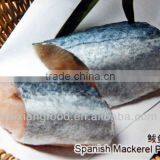 Spanish Mackerel Fillet thumbnail-2