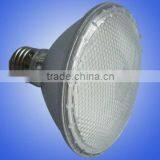 LED Bulb PAR30 (CE/RoHS)