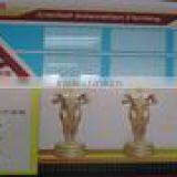 Shijiazhuang Peige Trade Co., Ltd. company overview - view 2 thumbnail